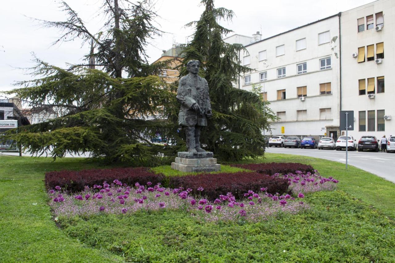 Apartament Nicola'S Nowy Sad Zewnętrze zdjęcie